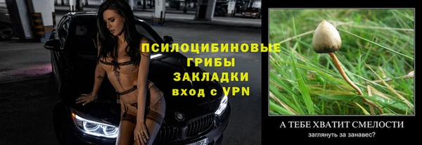трава Лабытнанги