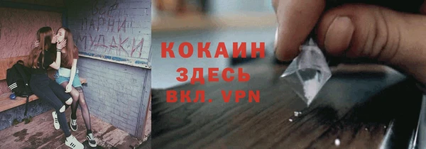 трава Лабытнанги