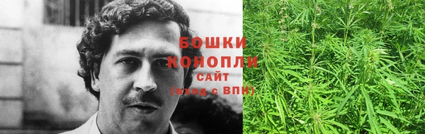 трава Лабытнанги