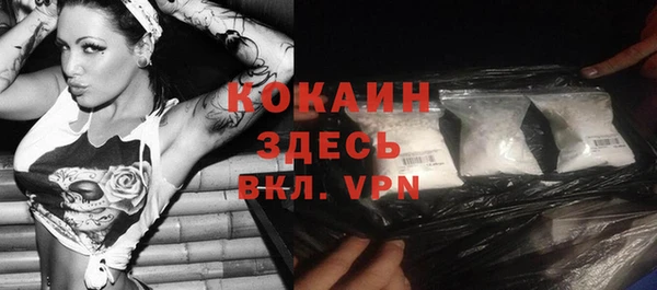 трава Лабытнанги