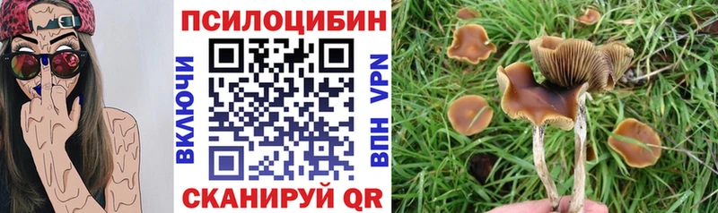 Галлюциногенные грибы мухоморы  Купить где  Вязники 